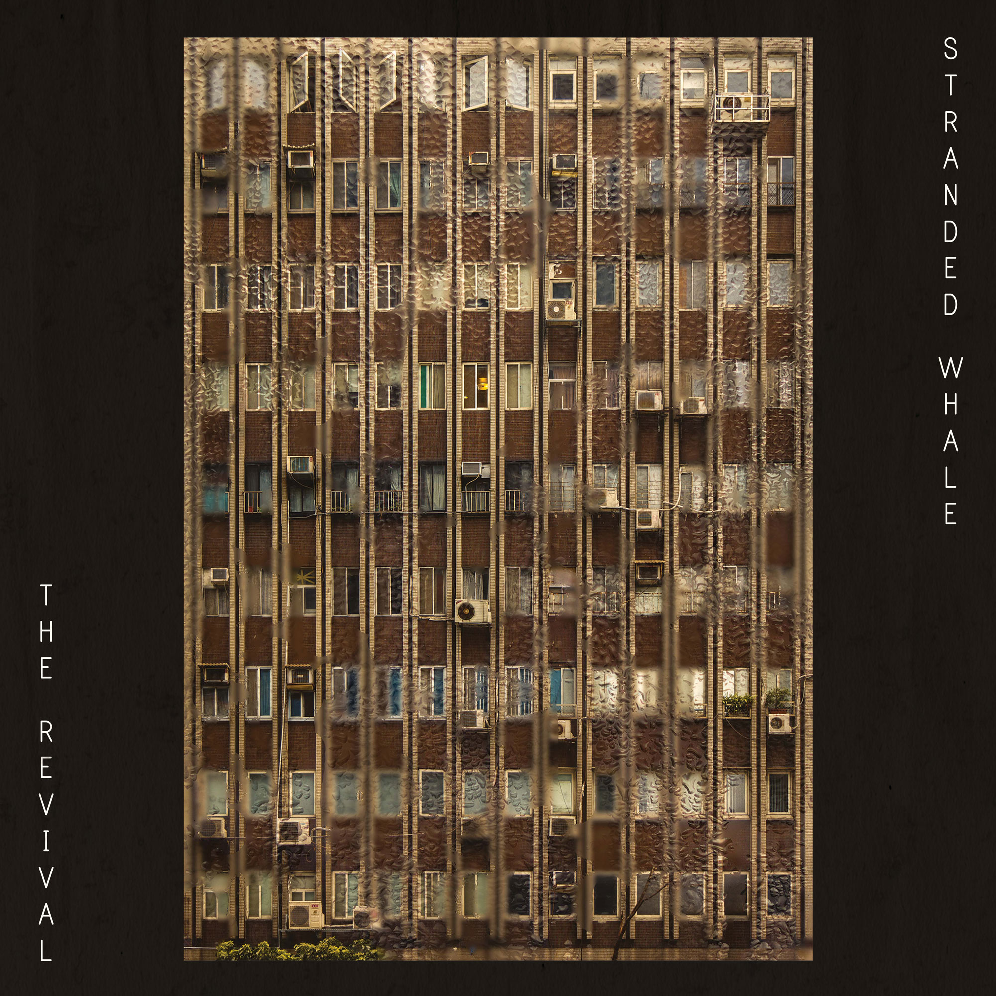 strandedwhale-the-revival-cover